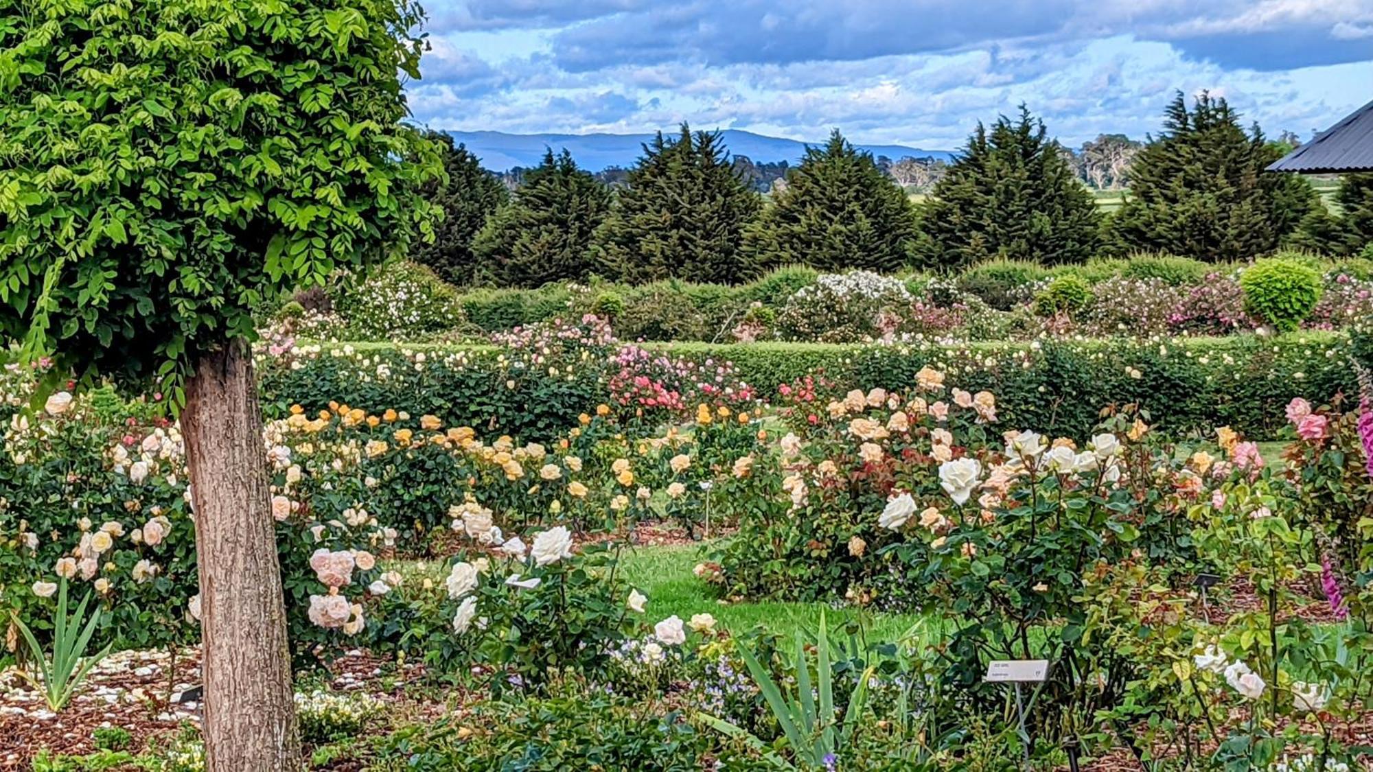 Woolmers Estate Longford Экстерьер фото